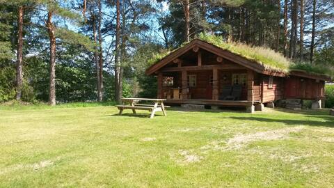Cosy holiday home by the river in Åmli. Sauna.