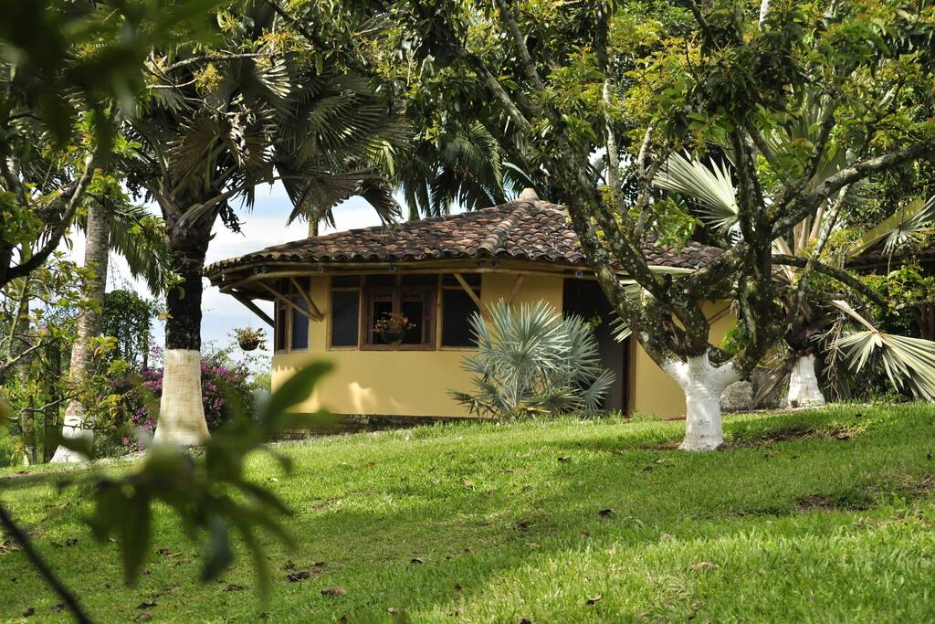 Dedicada a la producción de aire puro, cuenta con un jardín de múltiples variedades de aves, flores, fauna y frutales.
Dedicated to the produccion of pure air, it counts with a garden with multiple varieties of birds, flowers, fauna and fruit trees.