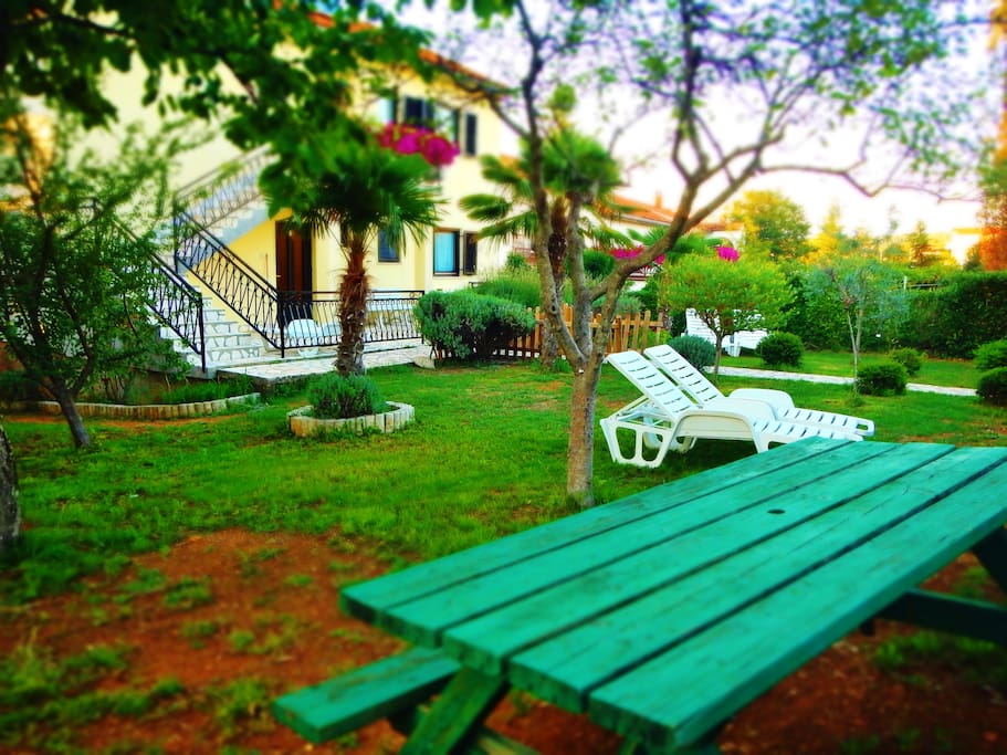 the garden
