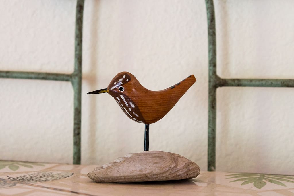 Wrens sing in the spring!