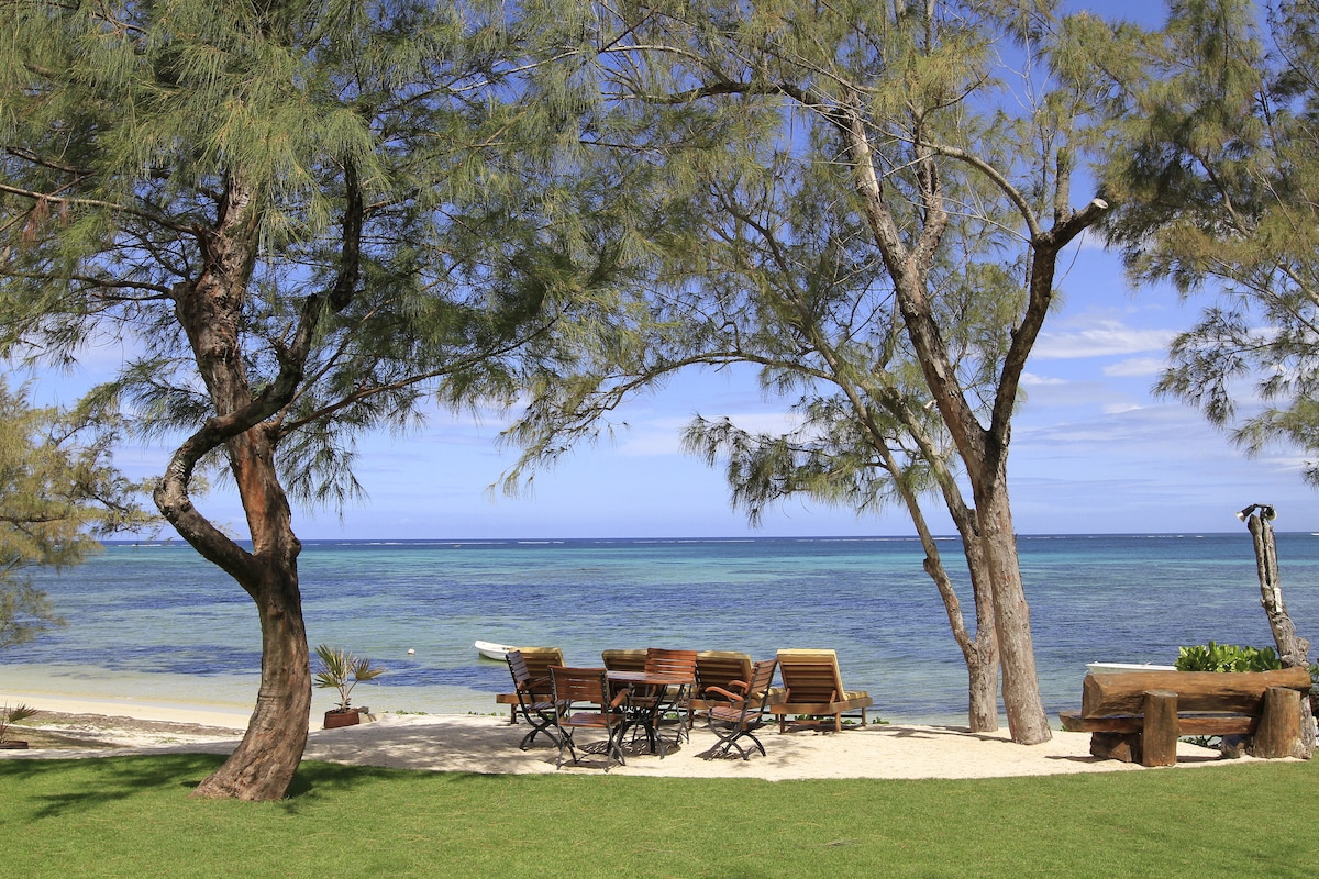 Lounge chairs are positioned under trees near the shoreline, offering views of the blue lagoon. The sandy beach is visible, with gentle waves lapping at the shore. An inviting outdoor seating area features natural wood accents, framed by lush greenery.