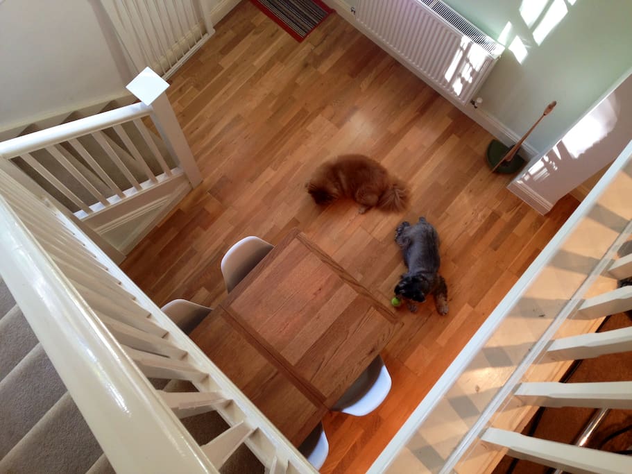 Looking down at the Dining Room from the Living Room
