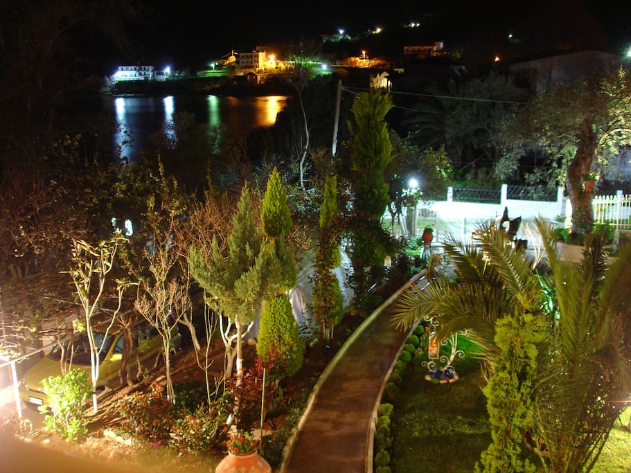 Our garden and lights reflecting on the sea.