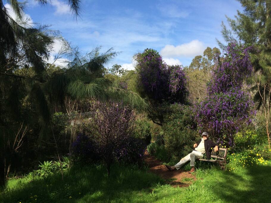 Garden view