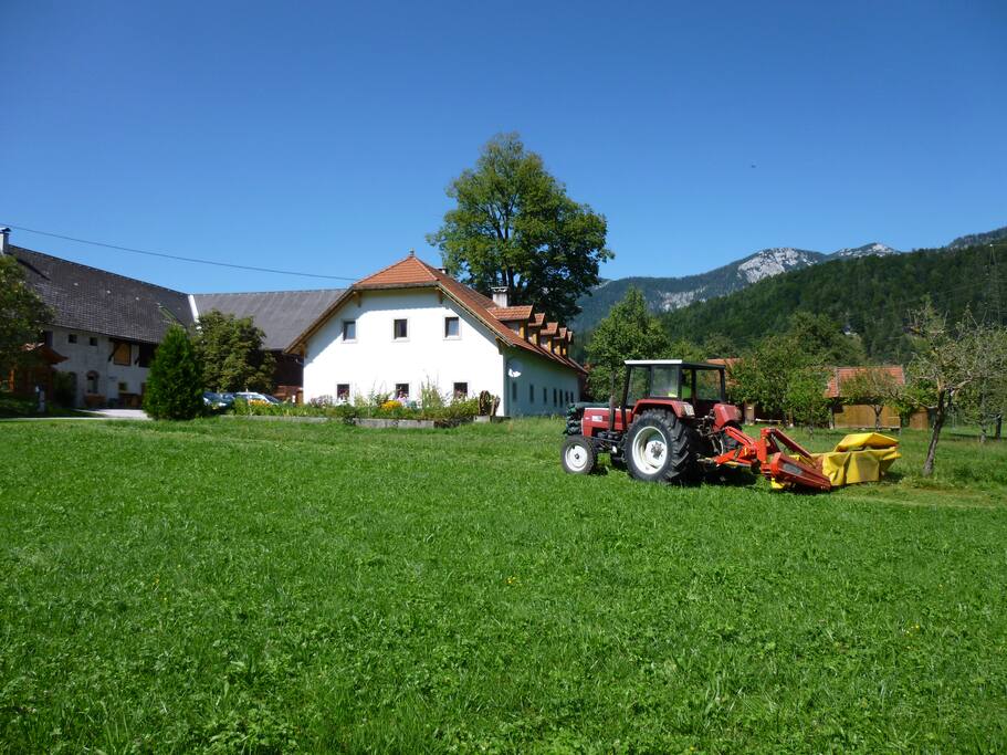 Ferien am Land - WALDBAUER