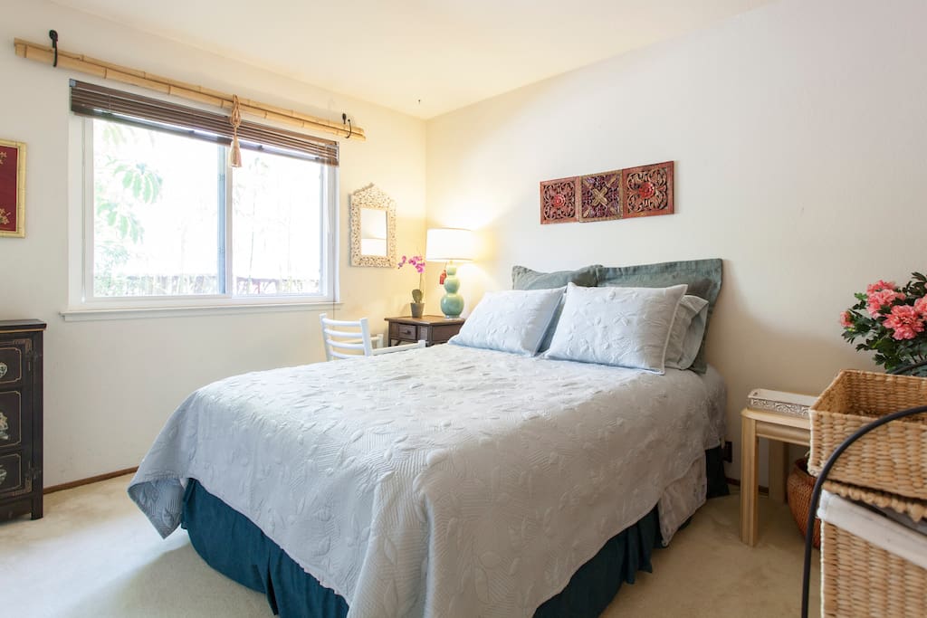 East bedroom. Morning sunshine. Bamboo plants outside of window.