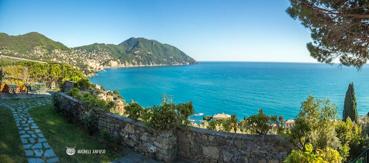 Casa Peonia Cod Citra 010047-lt-0046 - Recco