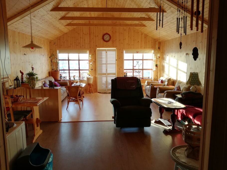 Kitchen and Living area