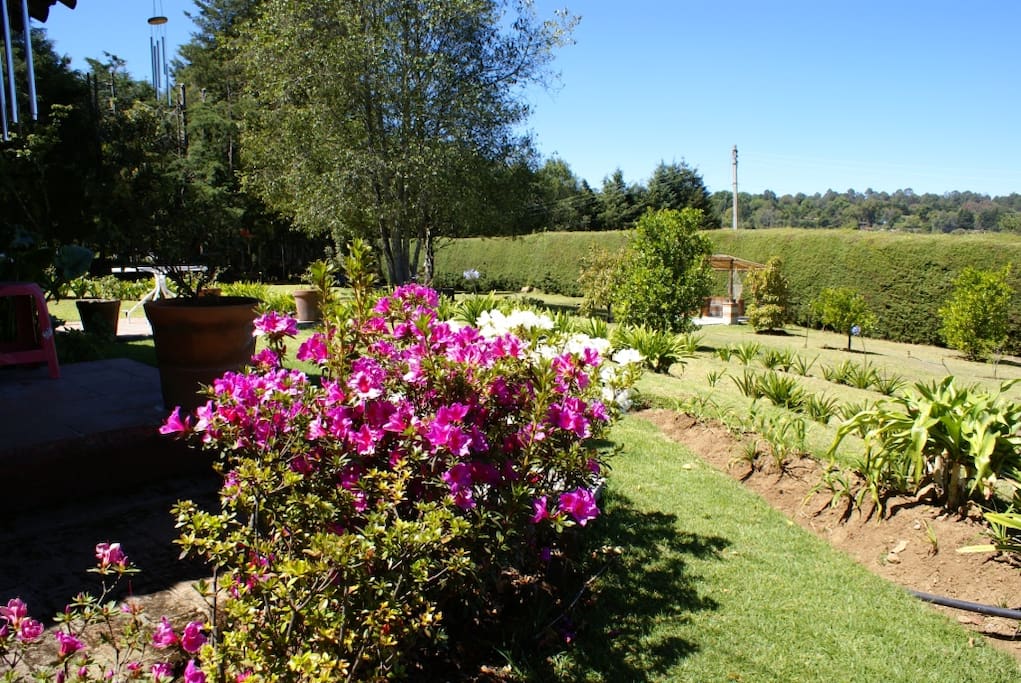 BONITO JARDIN CON HUERTO