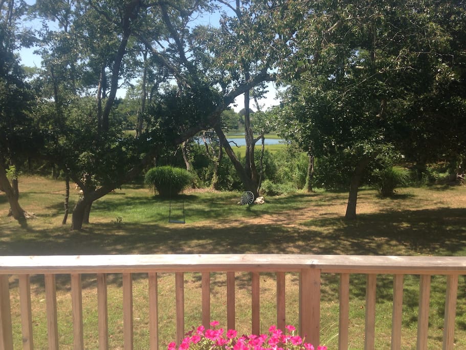 View from back deck
