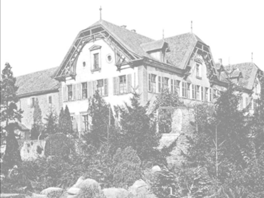 Schloss Deidesheim