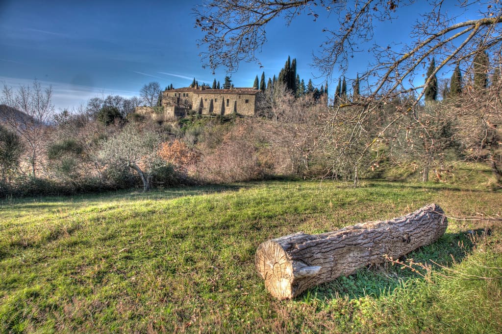 view around the house