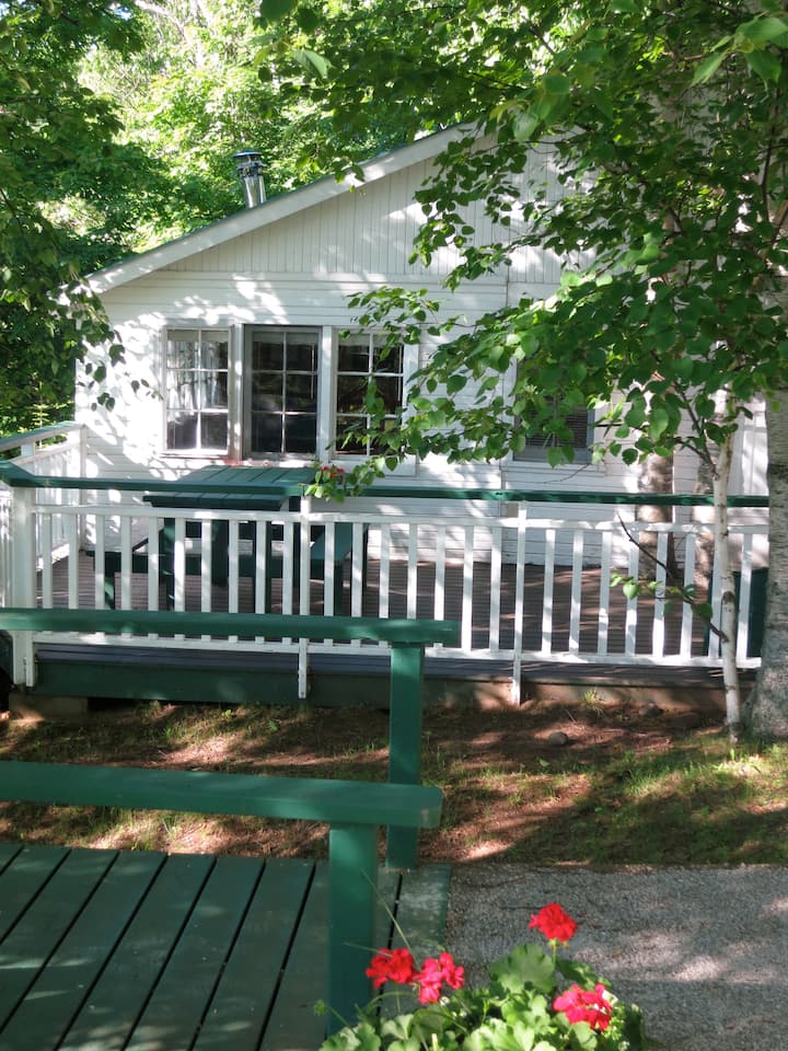 BideAWee Cottage at Birch Cliff Lodge Cabins for Rent in Bancroft