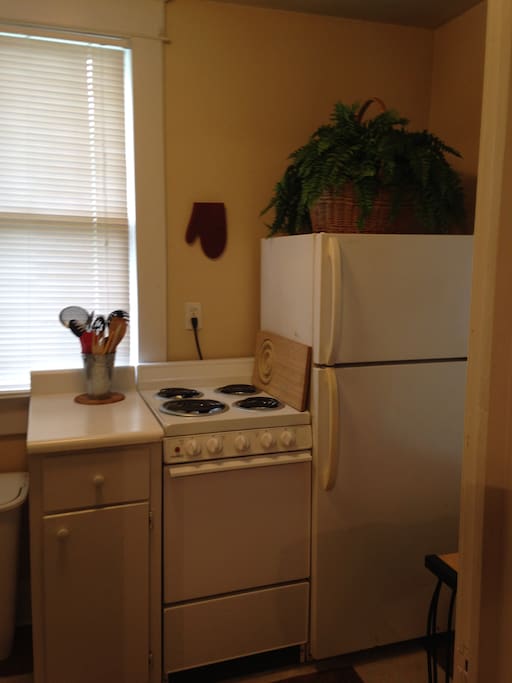 Full size refrigerator, stove and plenty of pots and pans.