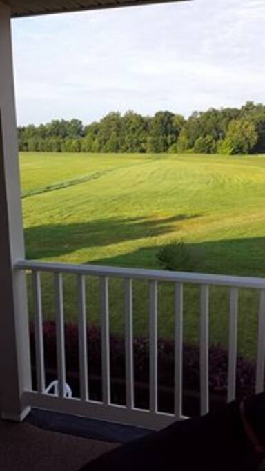 The backyard