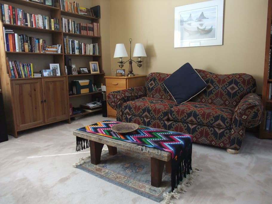 Comfortable couch with books and TV close at hand