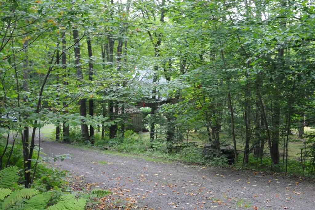 Entrance of driveway....Privacy abounds...