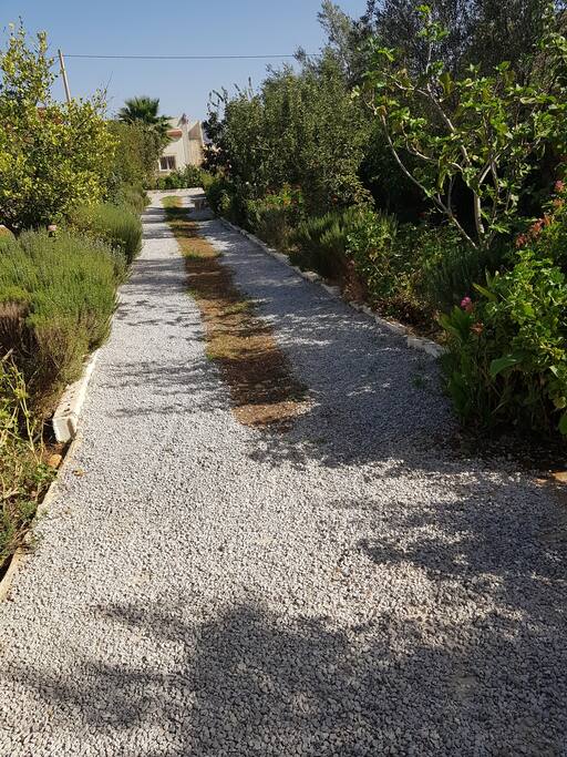 allée jardin