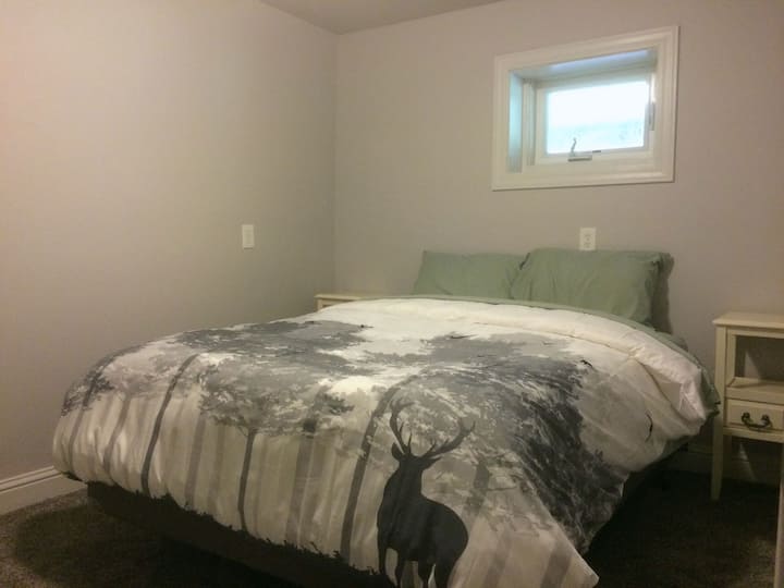 Bedroom #6  with a queen, 1st floor/basement.