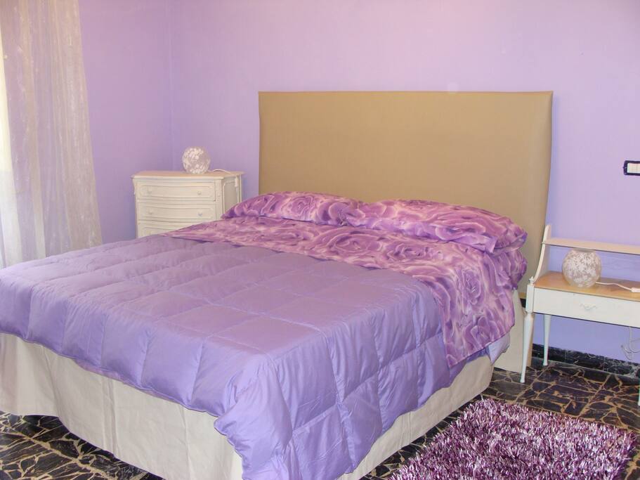 CAMERA VIOLA