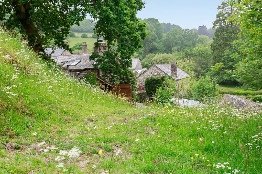 Two acres of our land to explore and enjoy