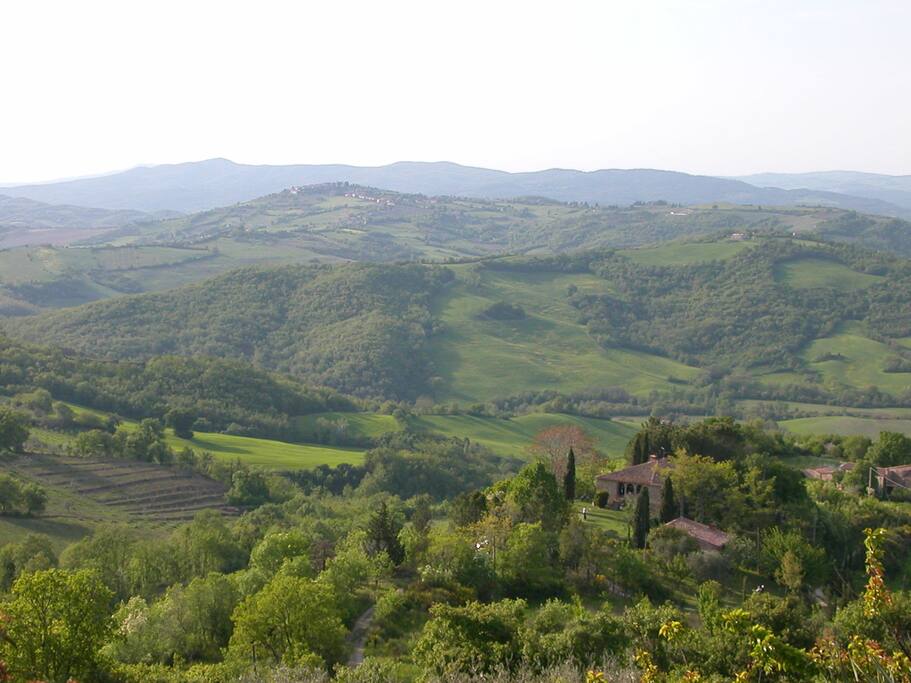 the view from the garden