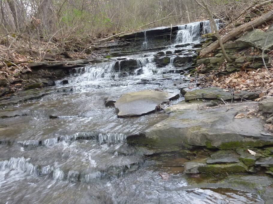 Creek and Waterfalls in the back yard