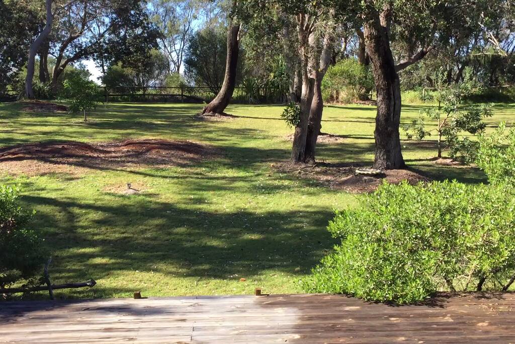 Park reserve between house and dune