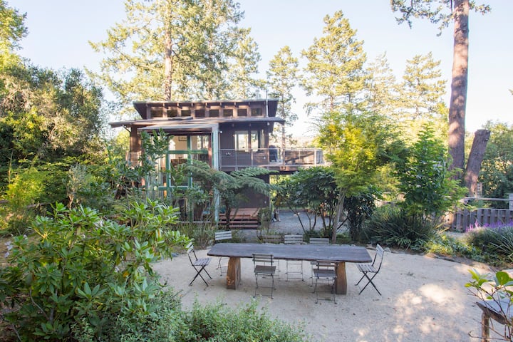 Zoe's Tree House