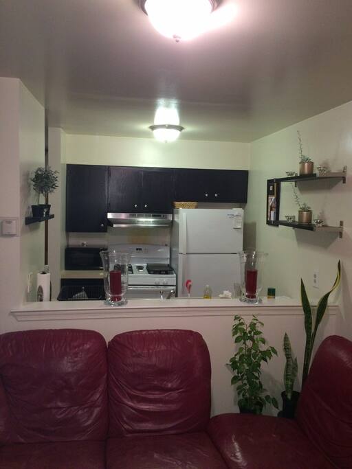 Kitchen / Living Room (First Floor)