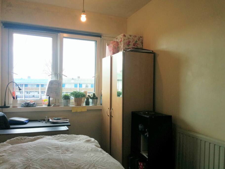The room is well-lit and sunny!