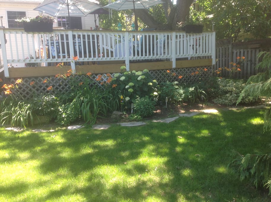 gardens in backyard
