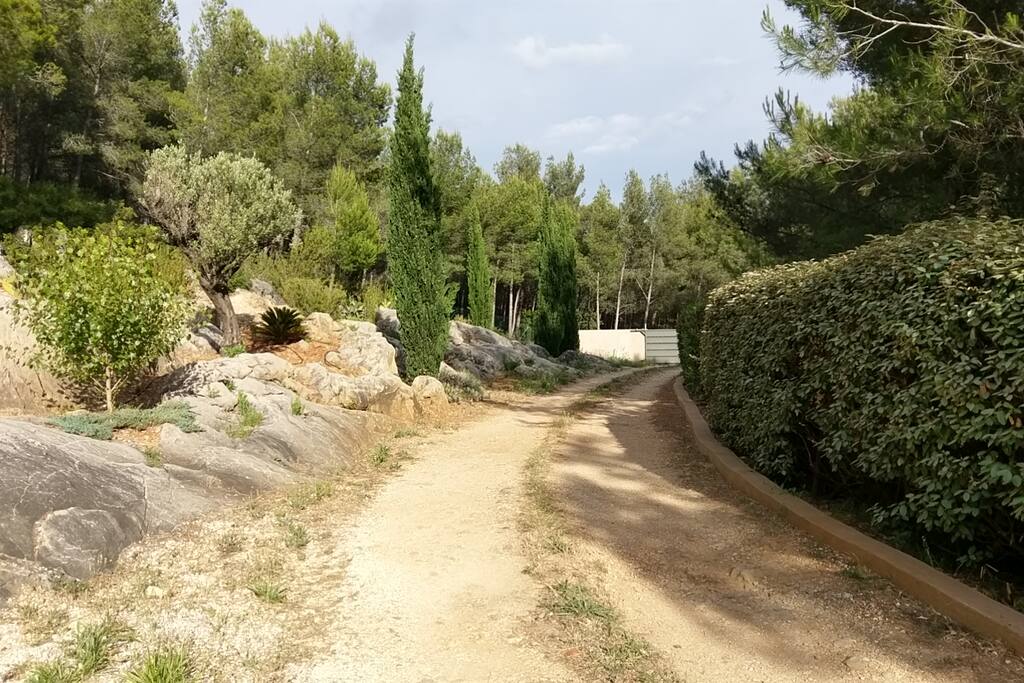 Entre
Le chemin du paradis