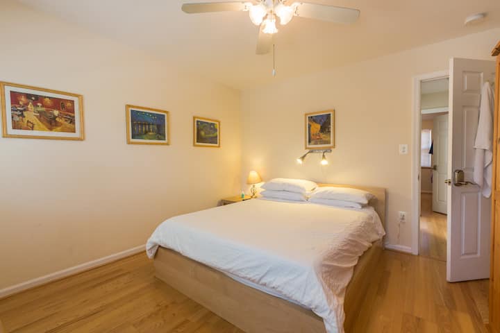 Old Towne Alexandria Van Gogh suite