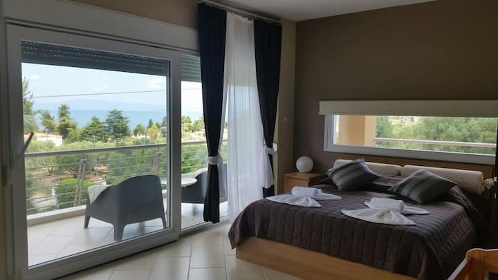 Κύριο υπνοδωμάτιο 