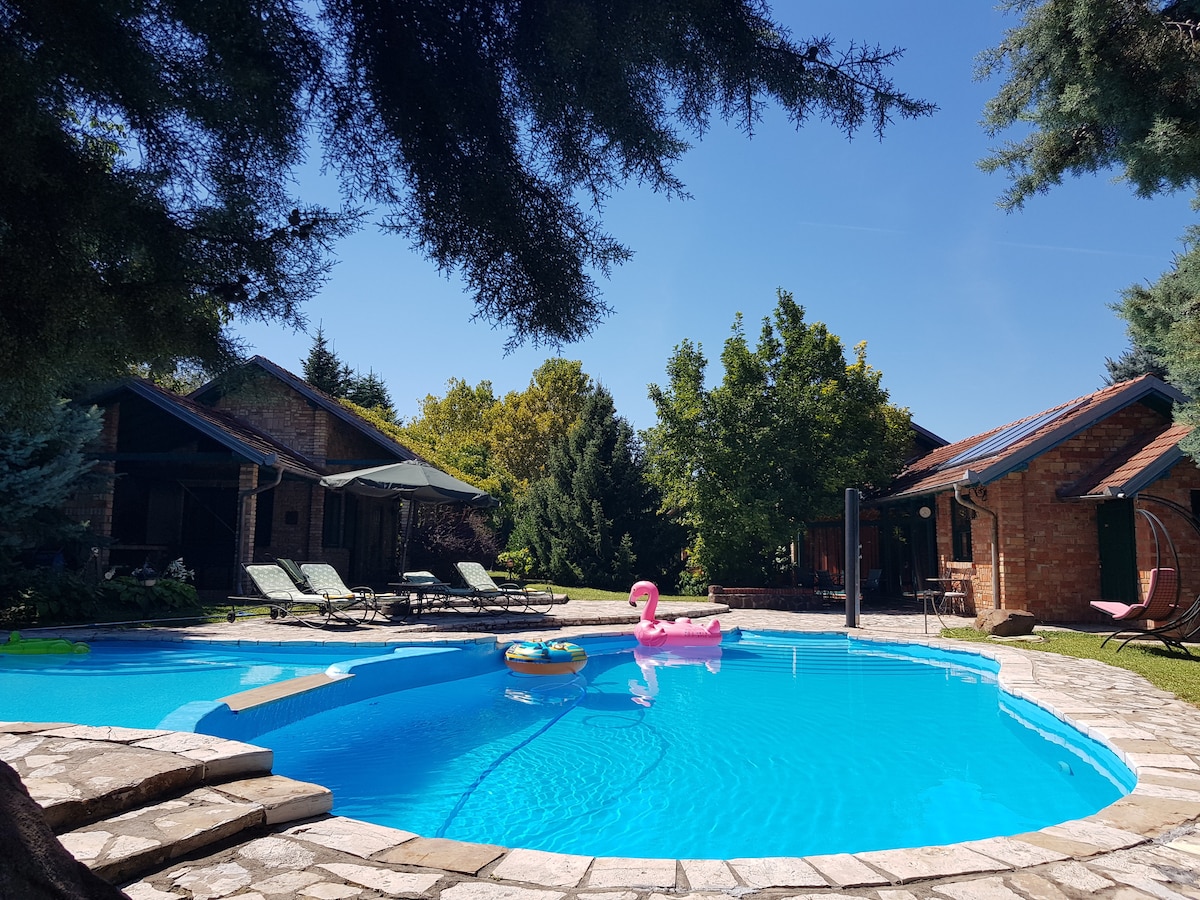 An outdoor pool glistens under the sun, surrounded by lounge chairs and lush green trees. Brightly colored floats rest on the water's surface, enhancing the tranquil setting. Two charming buildings can be seen in the background, blending with the natural surroundings.