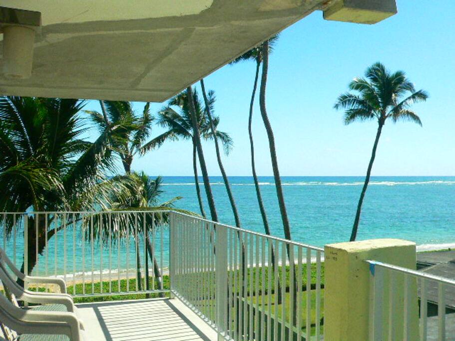 Apartments For Rent In Waikiki Oahu Apartments For Rent In Waikiki Oahu