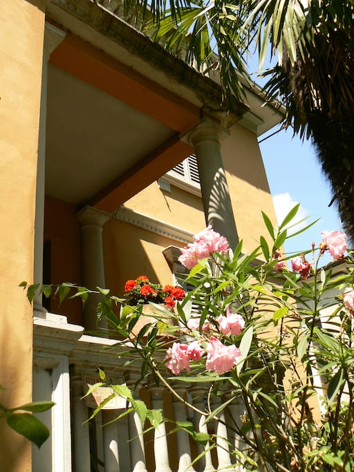 Esterno Villa Liberty Urbino