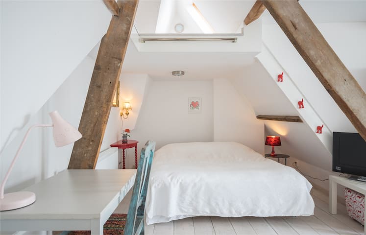 Light attic with lovely roof garden