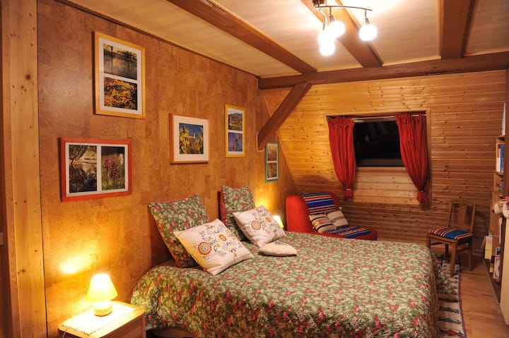 Chambre chaleureuse et spacieuse avec grand lit séparable
