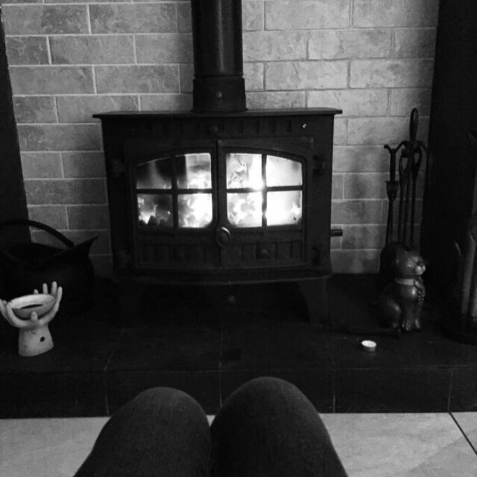 Stove in living room/ kitchen