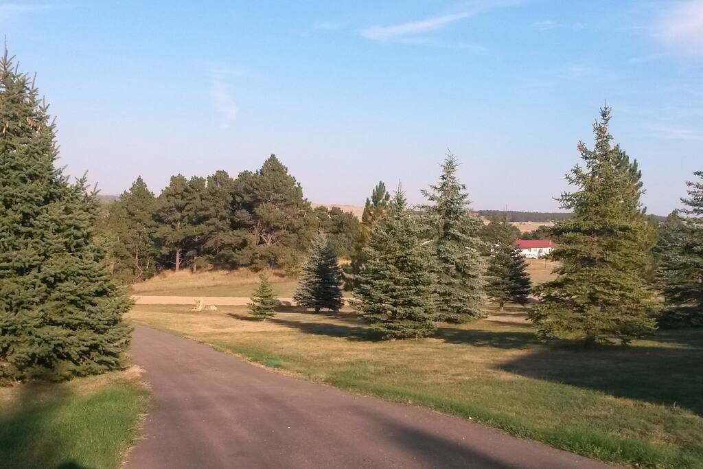This is your view from that deck. Circular driveway makes parking easy for motorcycle trailers.