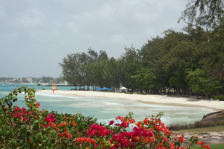 South Coast Apt| Urban Rooftop Deck
