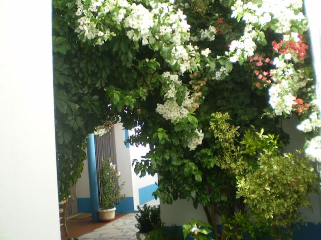 Apartamentos Maia - V.N.Milfontes