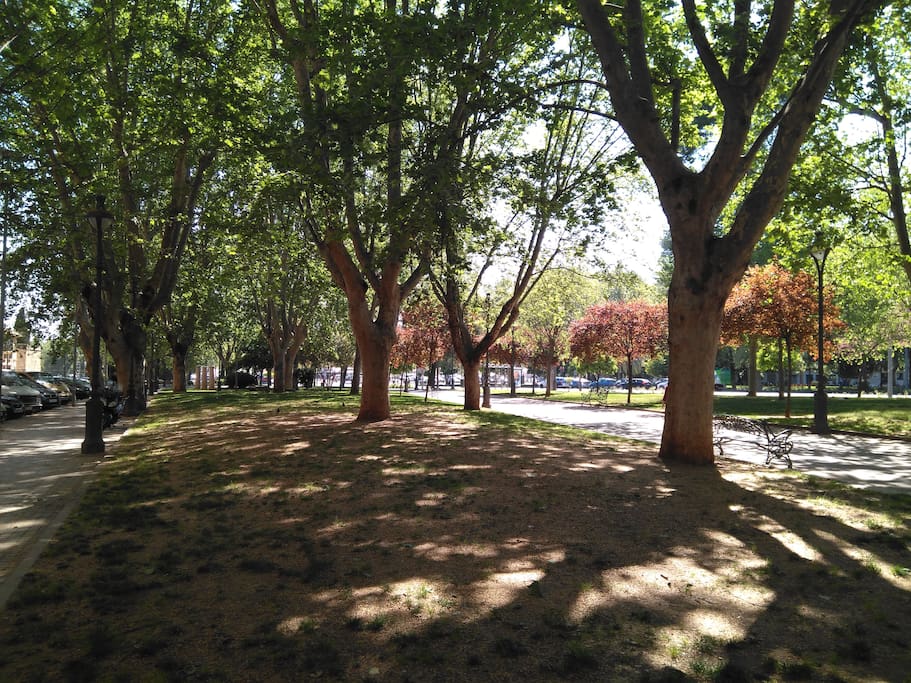 Zonas verdes en la misma calle