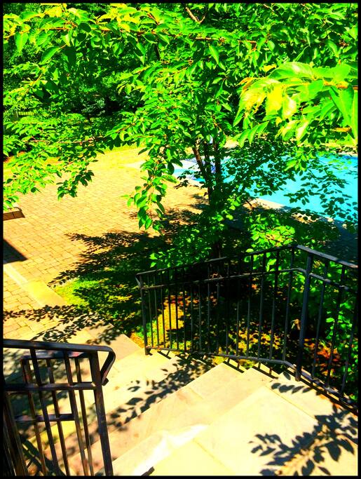 Private Patio and Pool