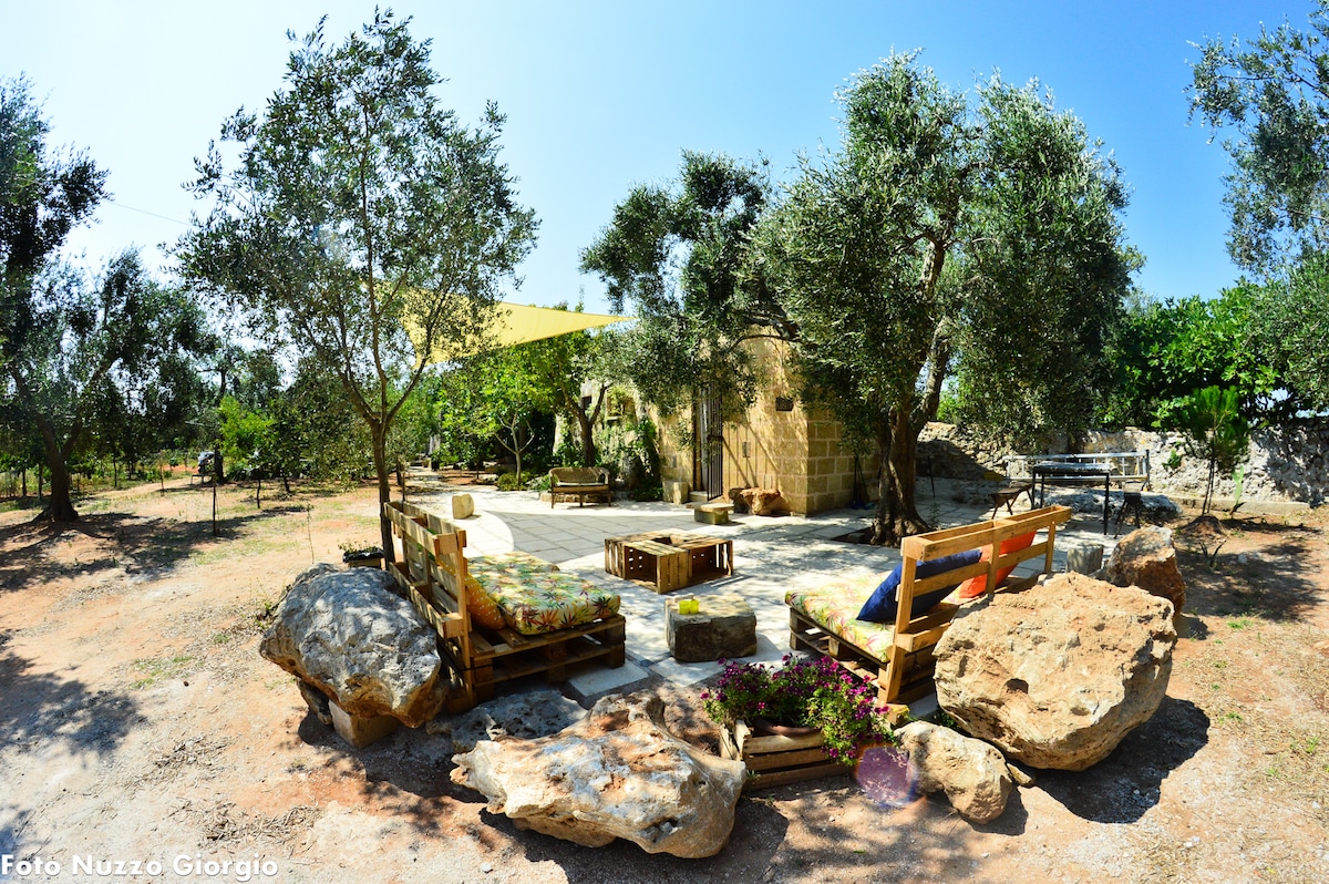A spacious outdoor area is surrounded by olive trees, featuring natural stone accents and wooden seating. Bright cushions are placed on the benches, inviting relaxation. A shaded section provides comfort while enjoying the tranquility of the landscape, with the rustic structure visible in the background.