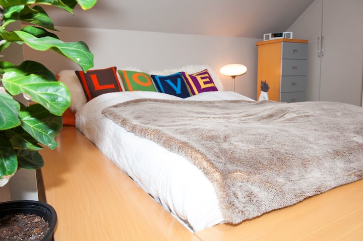 Cama tamaño queen moderna de la marca francesa Ligne  Roset, al final del apartamento.