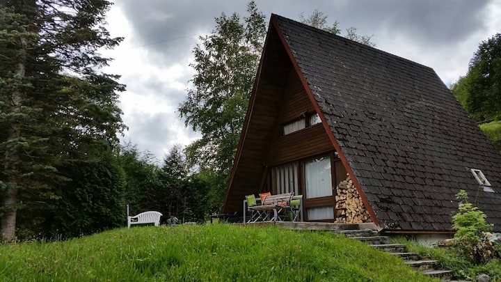 Waterfront Chalet Lac de Joux