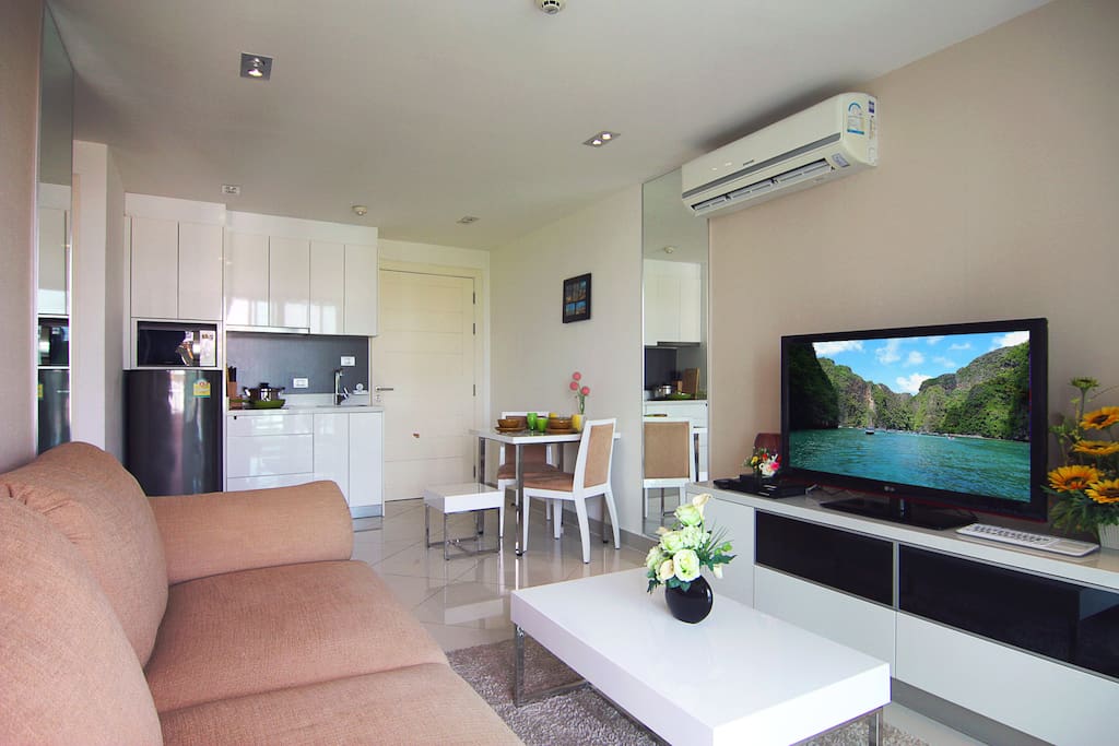 Living room with sofa-bed, TV, A/C